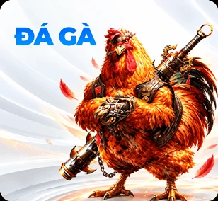 Đá gà LC88